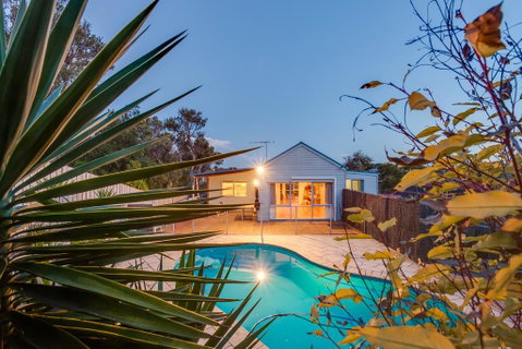 Paws Up Poolside - VIC Tourism 3