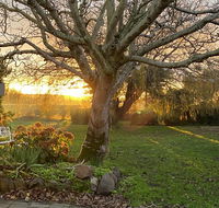 Peg Cottage - VIC Tourism