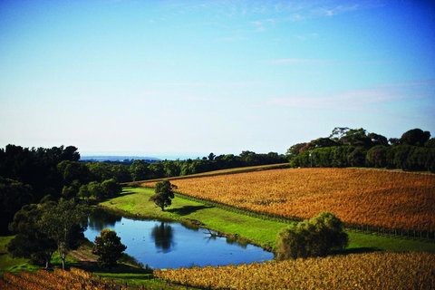 Port Phillip Estate - VIC Tourism 2