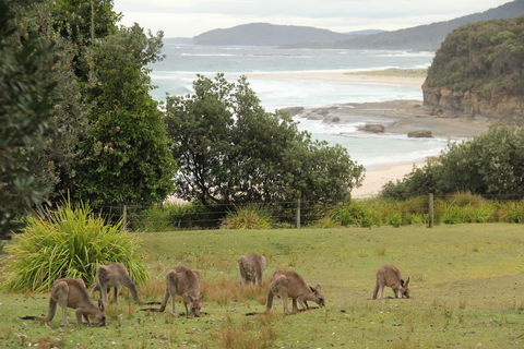 Pretty Beach Cabins - VIC Tourism 3