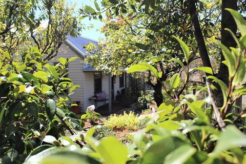 Quince Cottage - VIC Tourism 2
