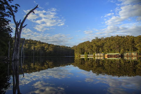 RAC Karri Valley Resort - VIC Tourism 0