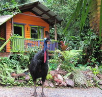 Rainforest Hideaway - VIC Tourism