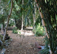 Rainforest Water Front River Shack Secluded. - VIC Tourism