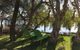 Reflections On The Murray River Near Mandurah - thumb 2
