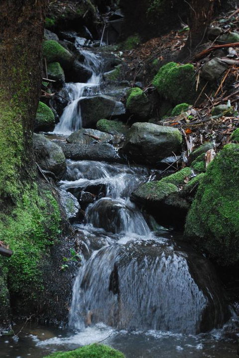 Rocky Creek Art Garden B&B - VIC Tourism 3