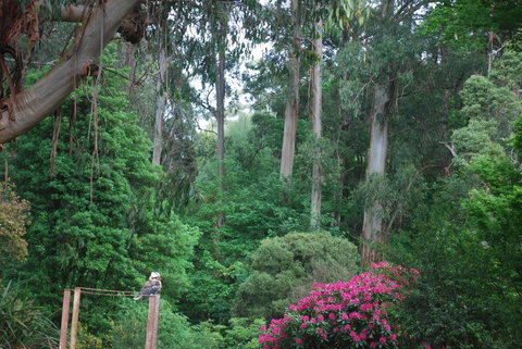 Rocky Creek Art Garden B&B - VIC Tourism 2