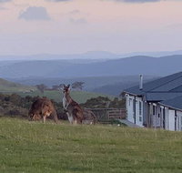 Rooks Edge - VIC Tourism