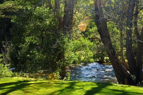 Russell Falls Holiday Cottages - VIC Tourism 2
