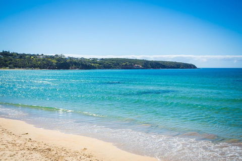 Seachange Apartments Merimbula - VIC Tourism 2