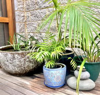 SEAeSCAPE Apollo Bay - VIC Tourism