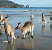Seaforth Holiday Units - VIC Tourism