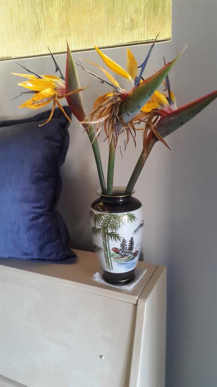 Serenity - VIC Tourism 3