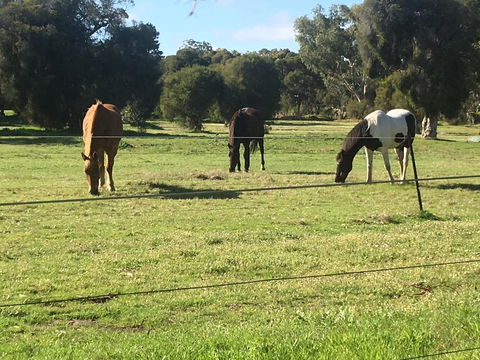 Shetland Park Chalets - VIC Tourism 1