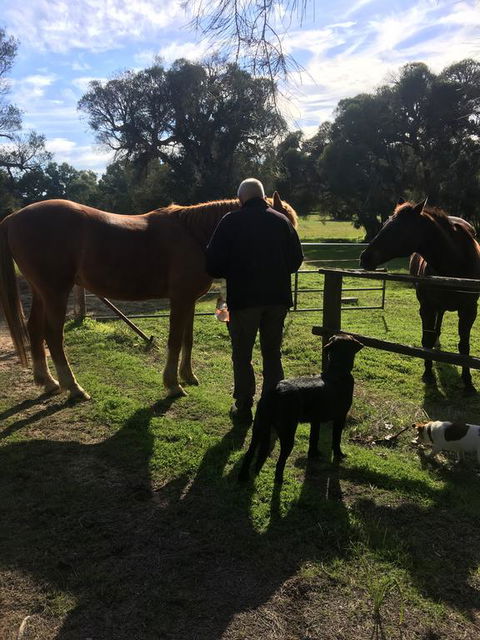 Shetland Park Chalets - VIC Tourism 2