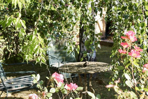 Silver Birch B&B - VIC Tourism 3