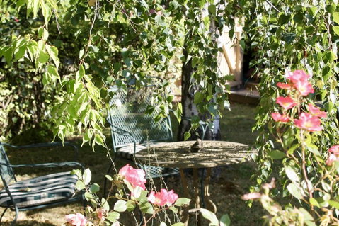 Silver Birch B&B - VIC Tourism 3