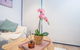 Simple & Cozy APT @Haymarket CBD (balcony Views) - thumb 2
