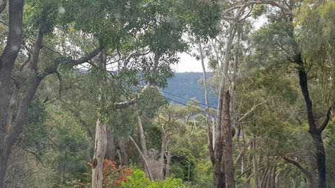 Six Seasons - Halls Gap - VIC Tourism 3