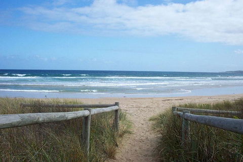 Skenes Creek Beachfront Caravan Park - VIC Tourism 1