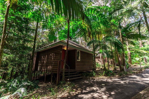 Songbirds Rainforest Retreat - VIC Tourism 2