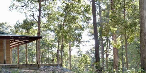 Southern Forest Escape Pemberton - VIC Tourism 1