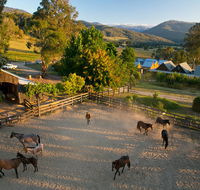 Spring Spur - VIC Tourism