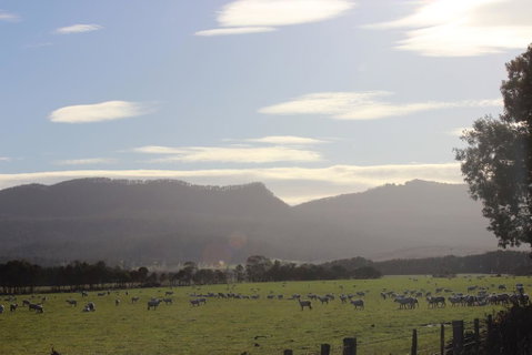 St Marys Hotel And Bistro - VIC Tourism 3