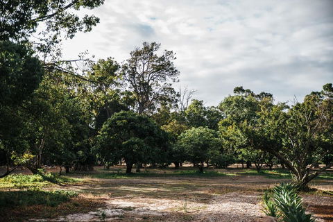 Standing Stone House - VIC Tourism 3