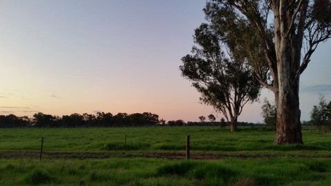 Sunset Villas Cobram - VIC Tourism 3