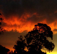 Taits Place Vineyard B  B - VIC Tourism