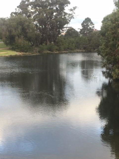 Telperon (2 Rooms, 3-4 Guests) - VIC Tourism 3