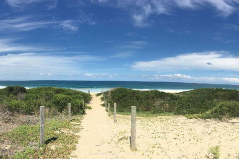 The Beach Shack - VIC Tourism 1