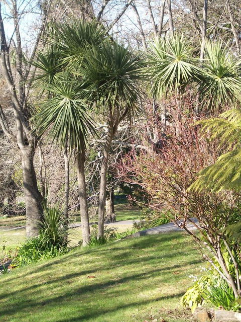 Lucinda B&B - VIC Tourism 23