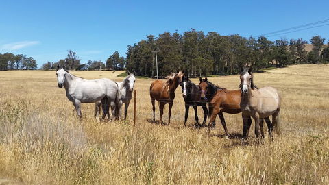 Lockleigh Park - VIC Tourism 28
