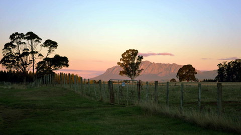 Buttons Cottage For Canyon & Rain Forest Walks With In House Dining - VIC Tourism 31