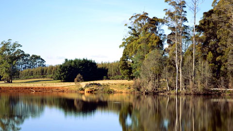 Buttons Cottage For Canyon & Rain Forest Walks With In House Dining - VIC Tourism 29