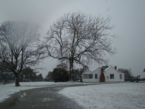 Buttons Cottage For Canyon & Rain Forest Walks With In House Dining - VIC Tourism 11