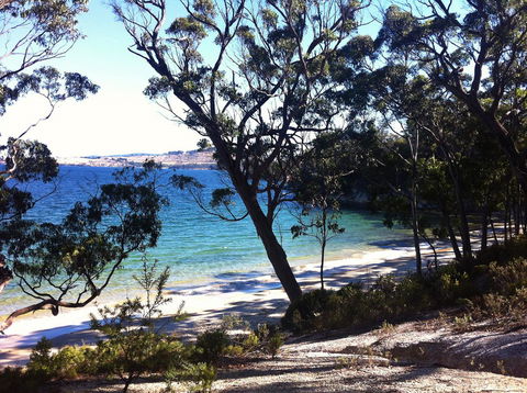 Three Beaches - VIC Tourism 42