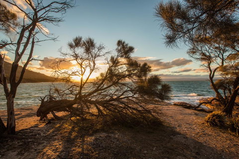 Freycinet Lodge - VIC Tourism 44