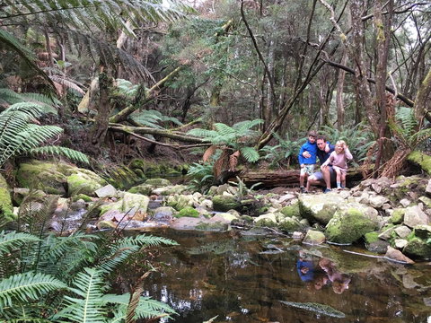 Derby Forest Cabins - VIC Tourism 17