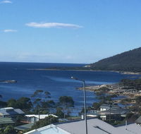 Bicheno Bell - VIC Tourism