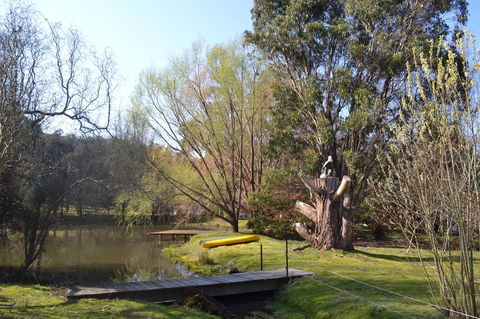 Whispering Spirit Holiday Cottages & Mini Ponies - VIC Tourism 12