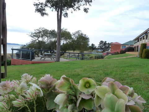 Swansea Motor Inn Tasmania - VIC Tourism 17