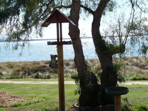 Swansea Motor Inn Tasmania - VIC Tourism 20