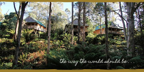 Lemonthyme Wilderness Retreat - VIC Tourism 20