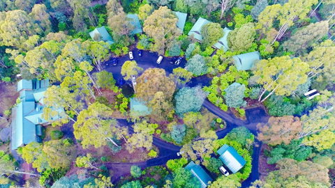 Lemonthyme Wilderness Retreat - VIC Tourism 1