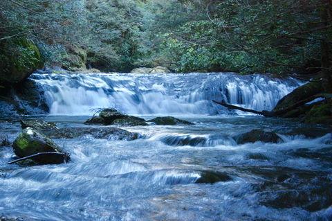 Lemonthyme Wilderness Retreat - VIC Tourism 10