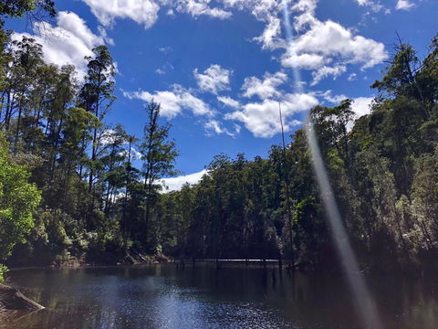 Lemonthyme Wilderness Retreat - VIC Tourism 7