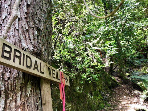 Lemonthyme Wilderness Retreat - VIC Tourism 18